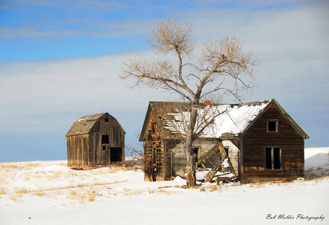 Black-Hills-SD/640x480_Old Barn in the Hills.jpg
